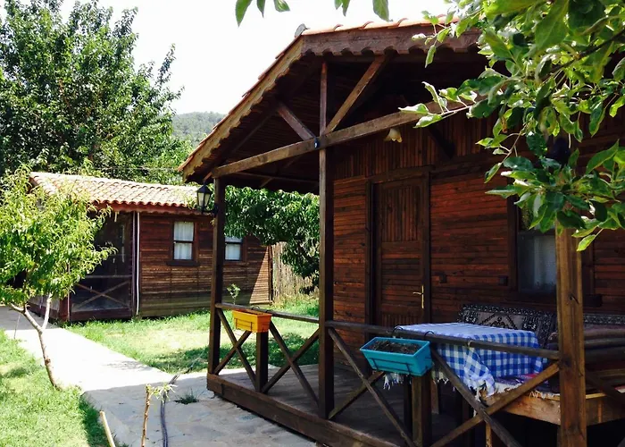 Salkim Konak Ve Agac Evler